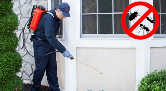 Boğazlıyan Kemirgen İlaçlama böcek ilaçlama ve haşere kontrolü — ilaclama-tr.com